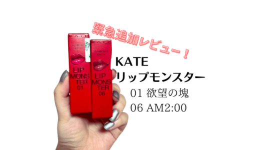 【正直レビュー】新たなモンスターGETだぜ！KATE リップモンスター を口コミ！②